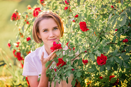 portrait of a young woman among red roses in the back sunlight