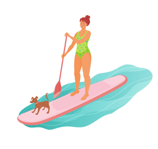illustrazioni stock, clip art, cartoni animati e icone di tendenza di la donna in piedi sta remando con paddle board sull'acqua con cane da compagnia. - one person white background swimwear surfboard