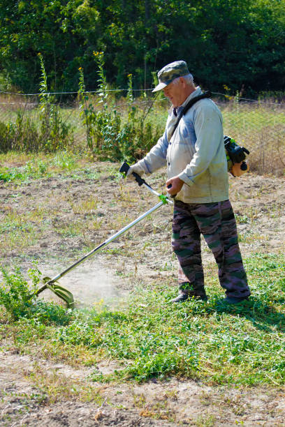 istock An old man mows grass with gasoline trimmer. Sunny autumn day. Front view. 1314737466