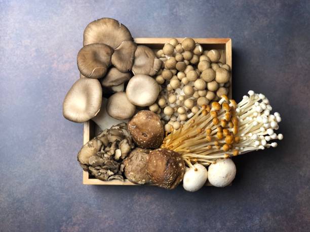 Many kinds of mushrooms Assorted