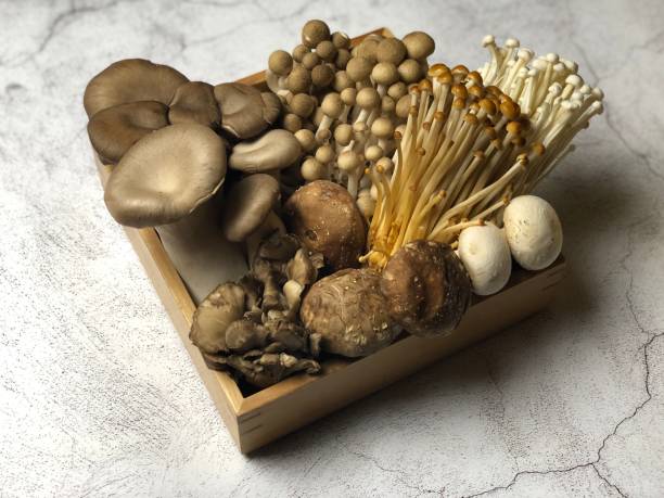 istock Many kinds of mushrooms Assorted 1314738579