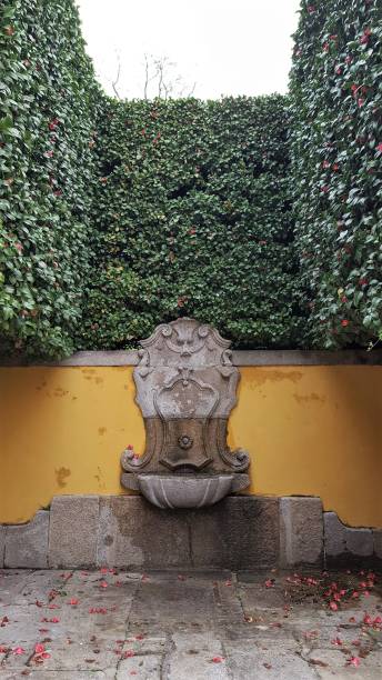 istock Portuguese garden 1314740836