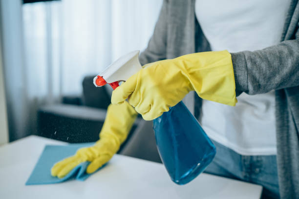 istock Woman wiping surface at home. 1314744193