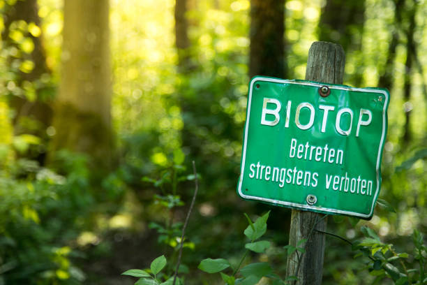 istock Nature reserve area. 
