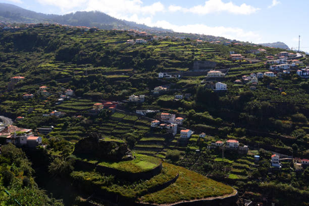 istock Island of Maderia 1314748291