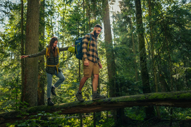 istock Couple going to their camping site in forest 1314749217