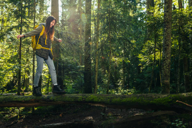 istock Young woman hiking and going camping in nature 1314751400