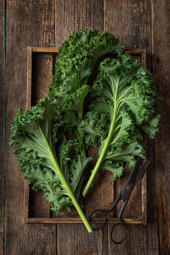fresh green organic kale leaves on wooden background. top view,