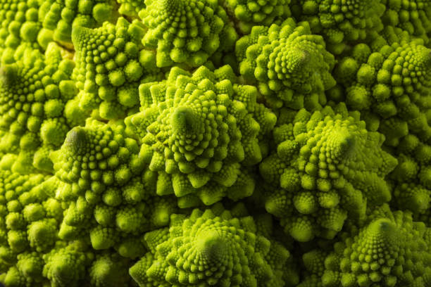 свежая капуста романеско, макро - romanesco broccoli стоковые фото и изображения