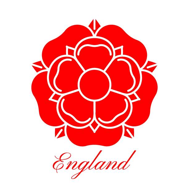Tudoe rose of Englnd vector illustration. Tudor rose vector isolated icon. Traditional heraldic emblem of England. The war of roses of houses Lancaster and York. york yorkshire stock illustrations