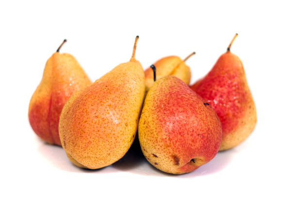 forelle red and yellow pears Group of forelle red and yellow pears isolated on a white background. forelle pear stock pictures, royalty-free photos & images