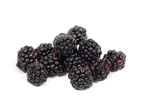 istock Close view of some fresh blackberries 1314754178