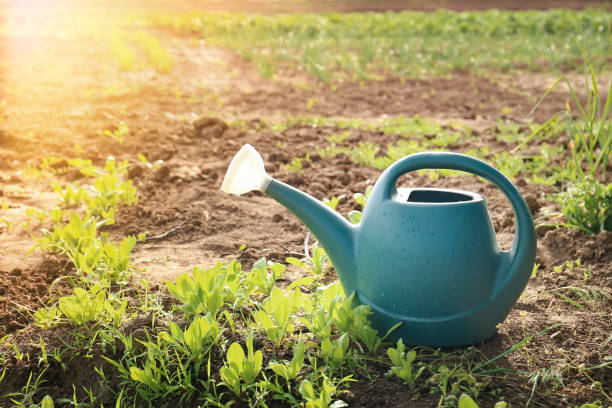 istock Watering can stands on the ground in the garden 1314755565