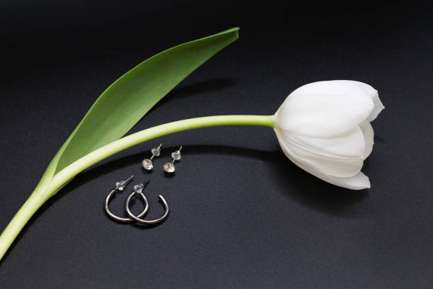 Elegant silver hoops earrings; with white tulip, black background