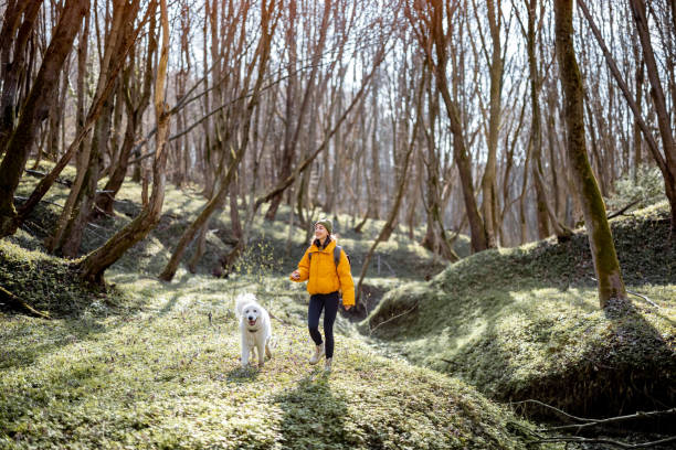 istock Young woman spend time together with dog in forest. 1314758057