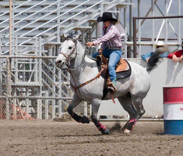 istock Barrel Racer - Stock image rodeo, horse, motion, cowboy, activity 131475866