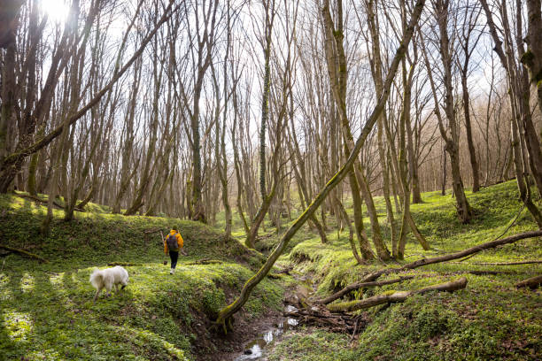 istock Young woman spend time together with dog in forest. 1314765717