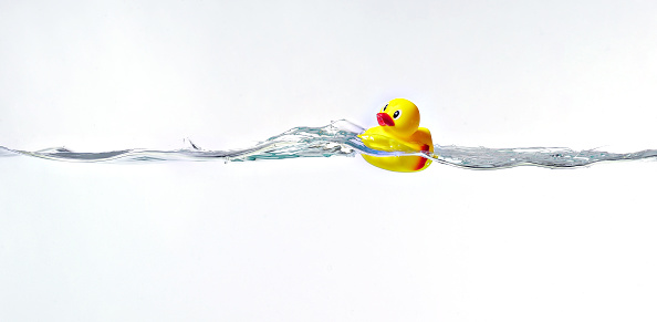 photograph of rubber duck floating on a cross section of water, white background