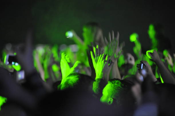 istock audience at a live concert 1314767642