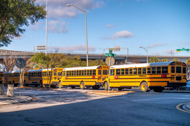 istock Row of yellow school buses parked inline 1314767723