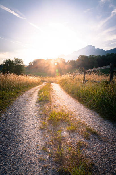 istock Scenic sundown: Country road, golden meadow, hills and mountains. 1314772497
