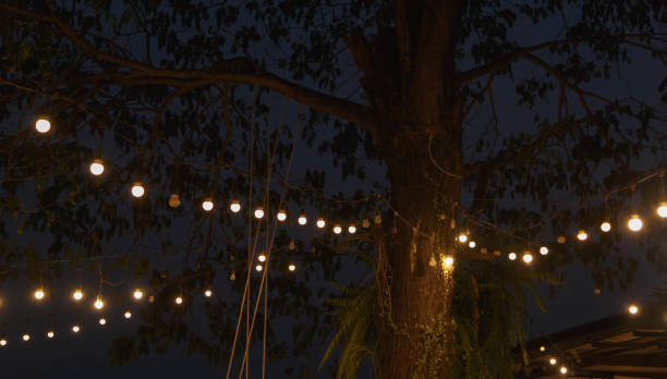 istock Vintage light bulbs hanging from the trees At night 1314774904