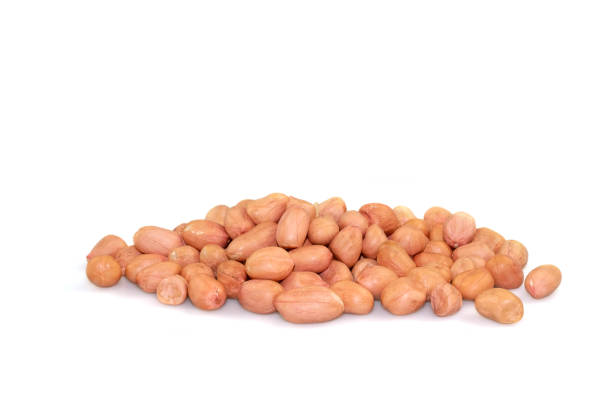 istock Isolated peanut. Walnut purified on a white background. Protein food. Raw peanuts. 1314776773