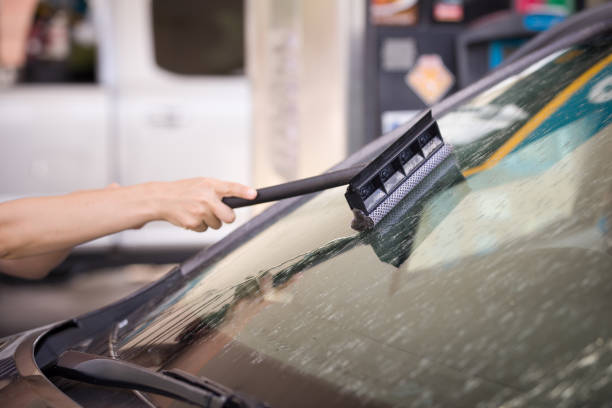 primer plano de las manos de una niña con un cepillo de limpieza del parabrisas del coche de insectos. lavado independiente del coche de insectos y moscas en la gasolinera. rascador y detergente - broken window glass women fotografías e imágenes de stock