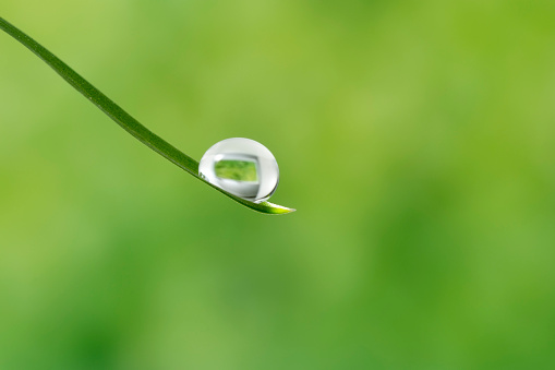 Extreme magnification macro photo of a water droplets on a blade of grass.