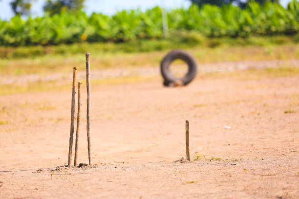 muñón de cricket hecho a mano en el suelo - crease fotografías e imágenes de stock