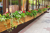 blumen-in-der-gestaltung-von-wannen.jpg?b=1&s=170x170&k=20&c=0gq8MXwwqieM8AObA38HyIaX5IA1eTTcSjQ3q2OhM4o=