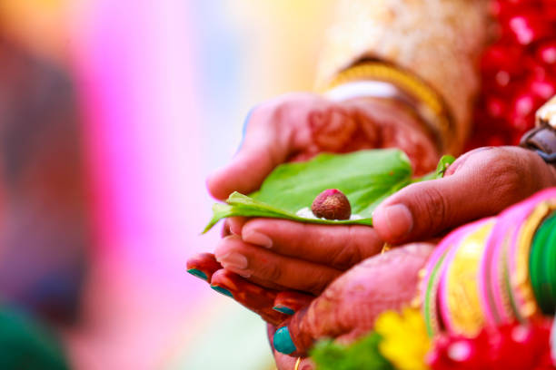 istock groom and bride holding green leaf in hand 1314781051