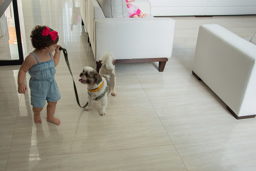 baby at home with dog on a leash
