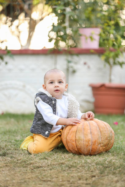 istock In the garden 1314782123