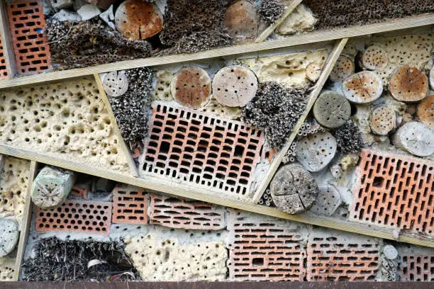 Photo of An insect hotel can be easily made from a variety of materials and is very good at watching the insects