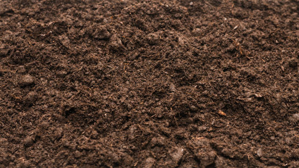 istock Black land for plant background. 1314785257