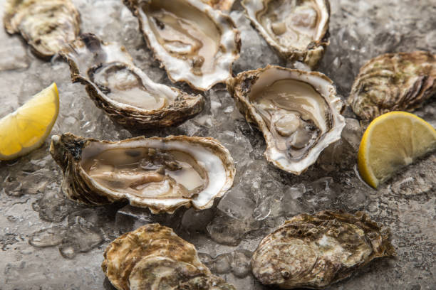 istock fresh raw oysters with ice on concrete background 1314785654