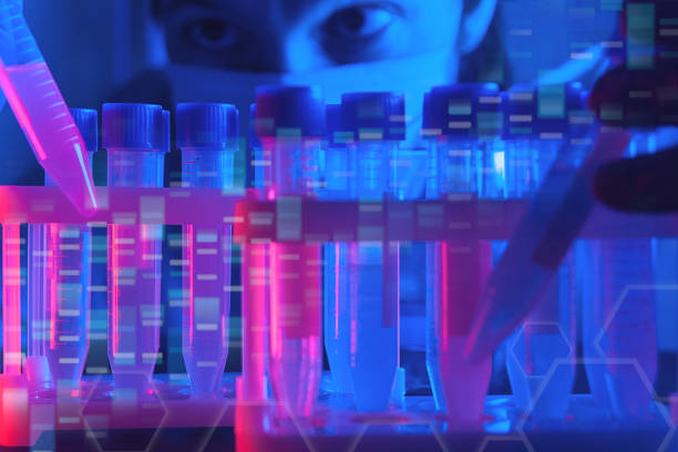 genetic research and biotech science concept, illegal genetic experiment, scientist looks on test tube in dark laboratory stock photo