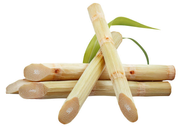 istock Single object of Sugar cane isolated on white background 1314789438