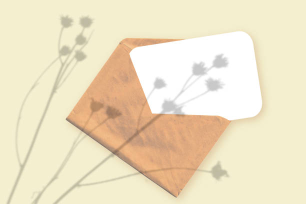 istock Natural light casts shadows from the plant on an envelope with a sheet of white paper lying on a yellow textured background. Mockup 1314789651