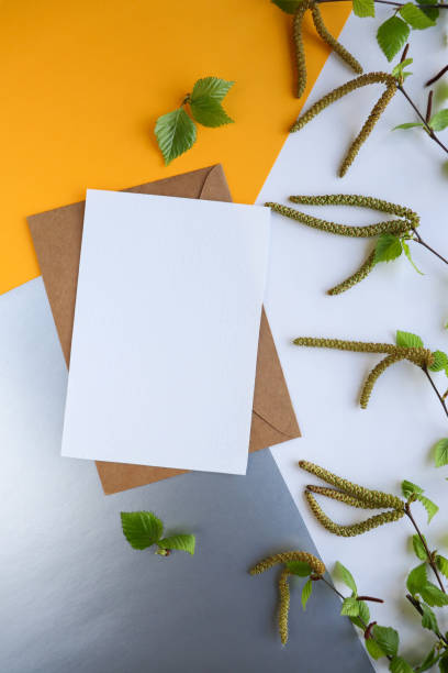 istock green birch branch with leaves and catkins isolated on white background 1314790121