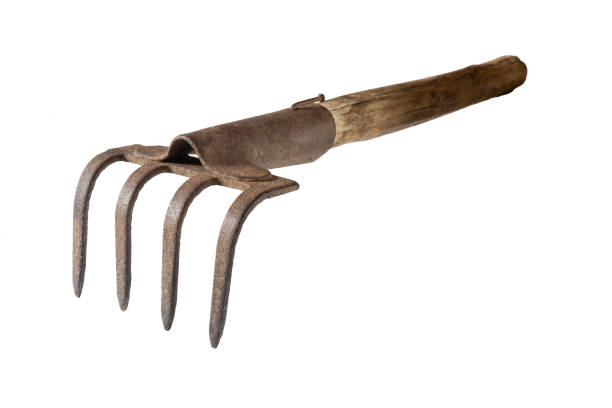 istock Old metal rake on a wooden handle for gardening 1314791033