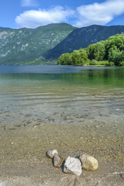 istock Mountain lake with trees and a rocky shore in the foreground. 1314791813