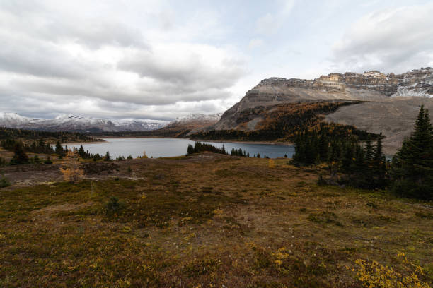 Trail in a valley with mountains and a lake in the distance in autumn View of a valley in autumn with clouds and orange meadow in the foreground with pine trees and a lake in the back shadow british columbia landscape cloudscape stock pictures, royalty-free photos & images