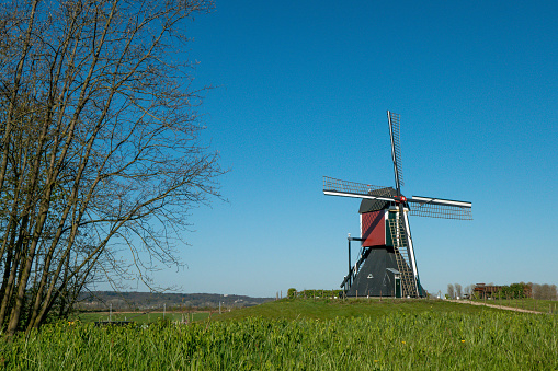 Old mill in a sunny landscape. This mill is called Thornse molen and van be found in the Ooij Polder, near Nijmegen (The Netherlands)
