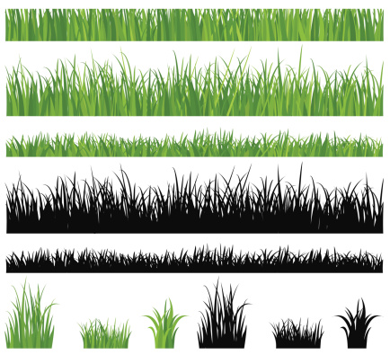 illustration with grass set