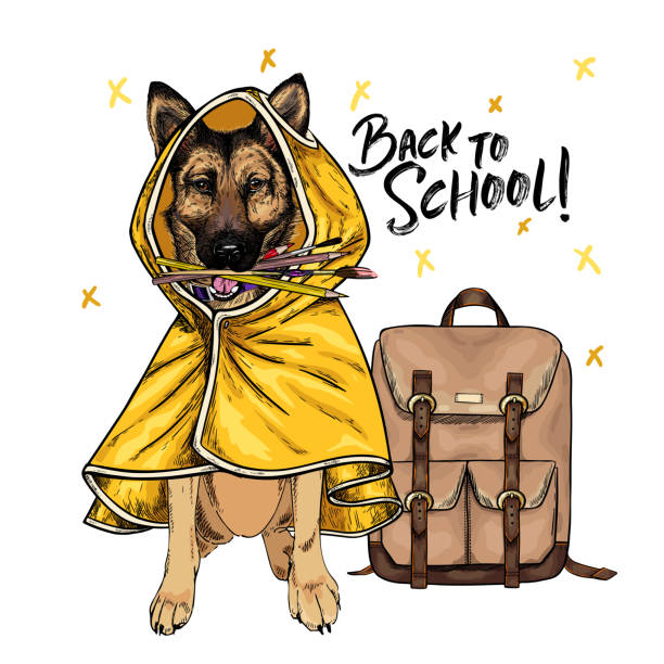 german shepherd in backpack