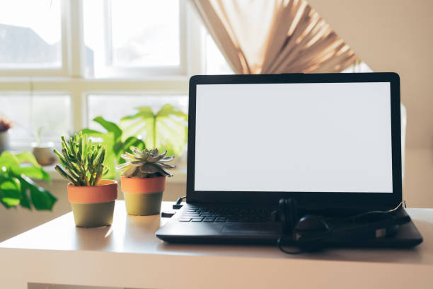 istock The modern workplace - desk with laptop mockup white empty screen and green succulent plants in pots at workspace in home office room interior in eco-friendly neutral tones. Copy space 1314796535