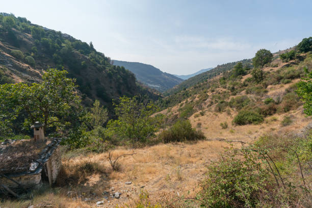 istock mountainous landscape in Sierra Nevada 1314796554