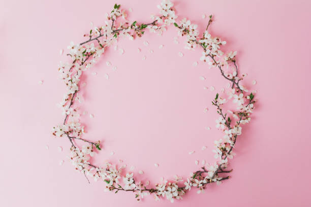 istock Round frame of spring flowers isolated on pastel pink background. Flat lay, top view. Spring time background. 1314799074